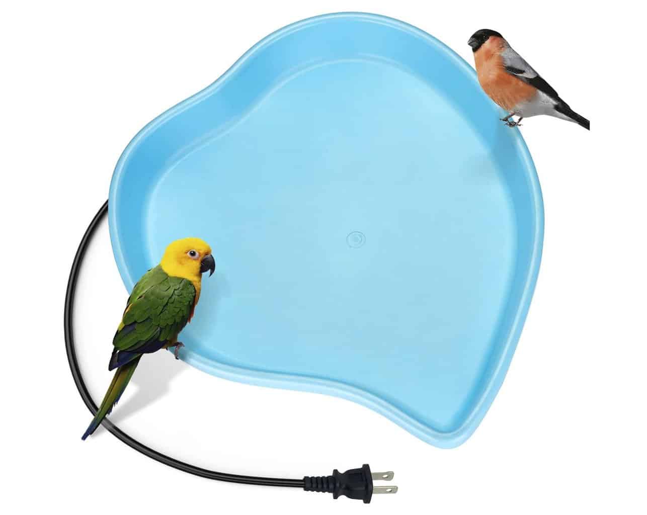 Best Heated Bird Bath Guide Keep Your Feathered Friends Hydrated Year