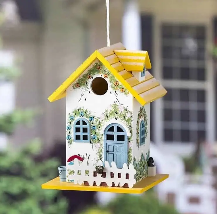 Painted Birdhouse Ideas to Add Some Flair to Your Garden Birding