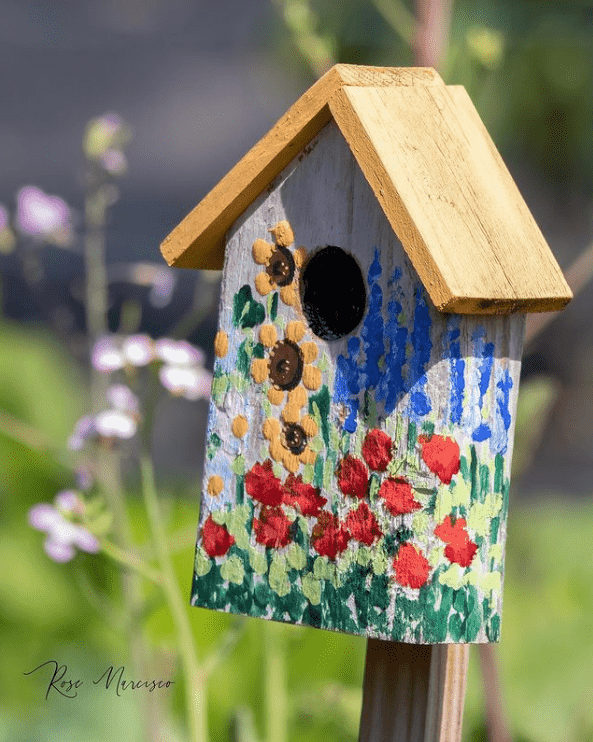 What Paint For Wood Birdhouse at Jeffery Rizer blog