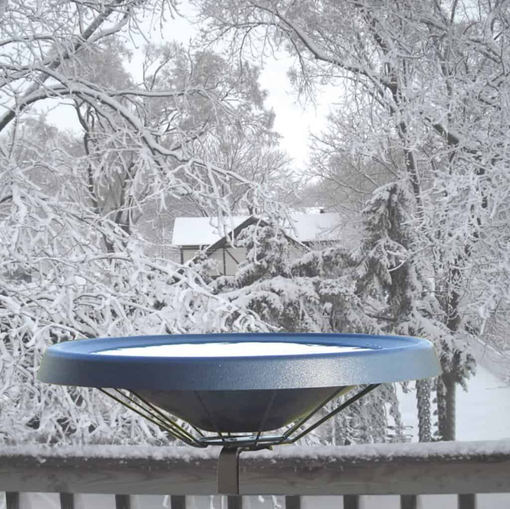 Best Heated Bird Bath Guide Keep Your Feathered Friends Hydrated Year Round Birding Insider