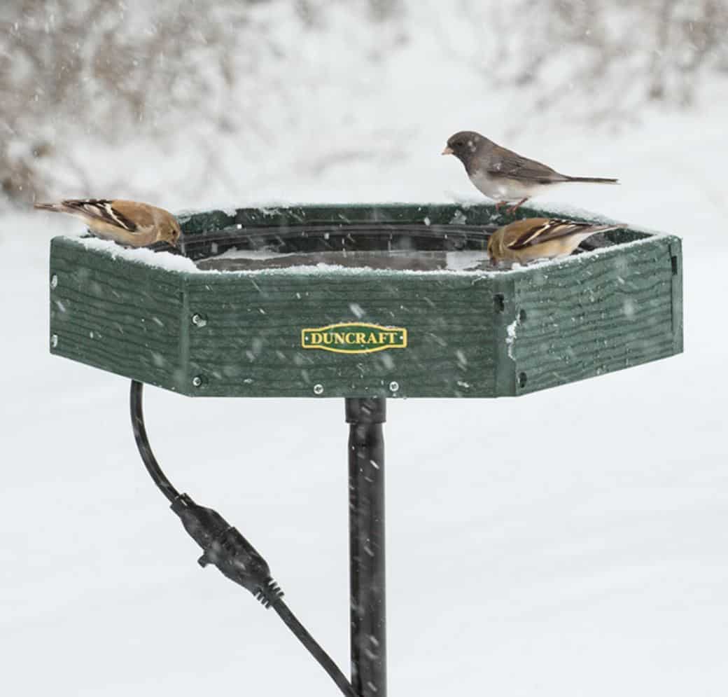 Best Heated Bird Bath Guide Keep Your Feathered Friends Hydrated Year Round Birding Insider