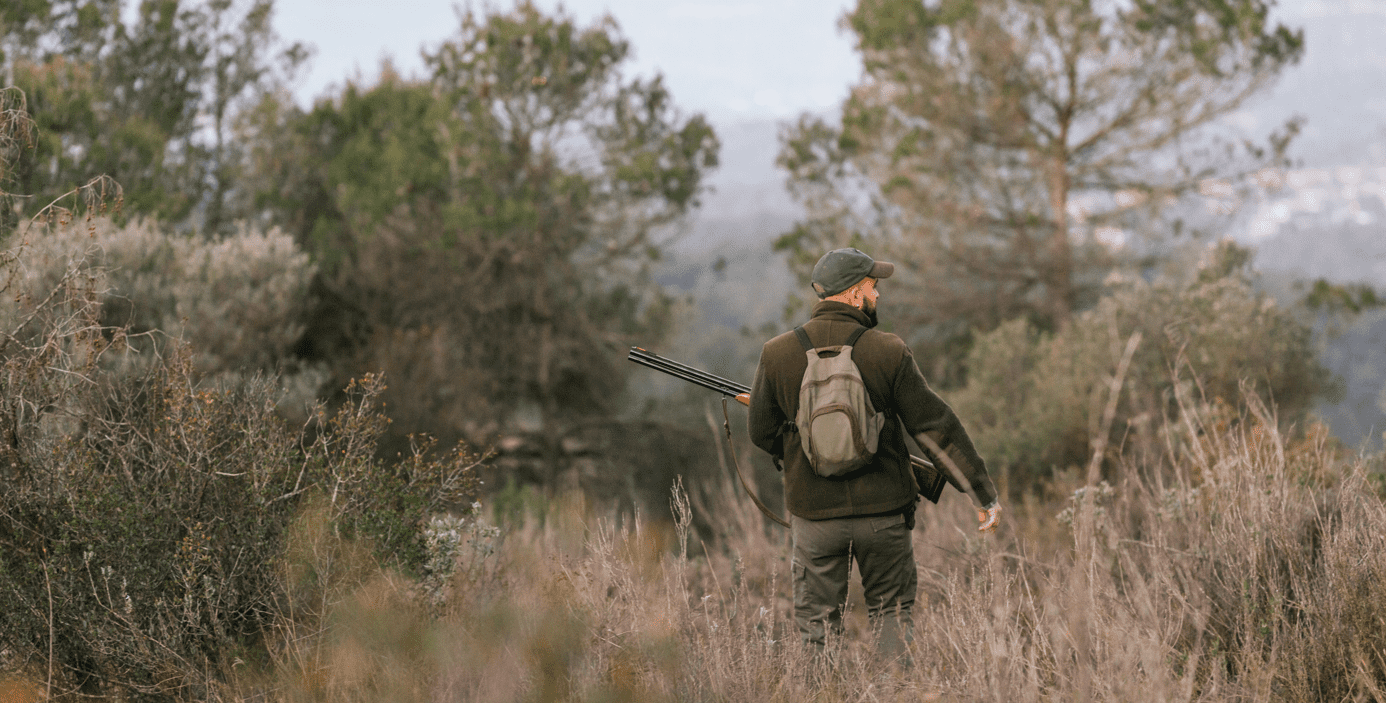 Harris's Hawk Predators