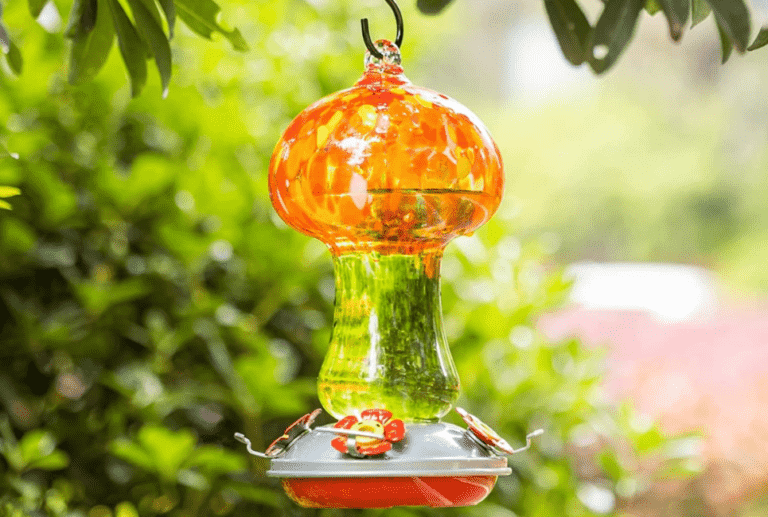 The Best Hummingbird Feeders on Amazon in Every Style Birding Insider