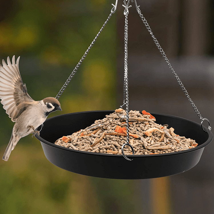 Best Bird Seed Catchers Guide Birding Insider