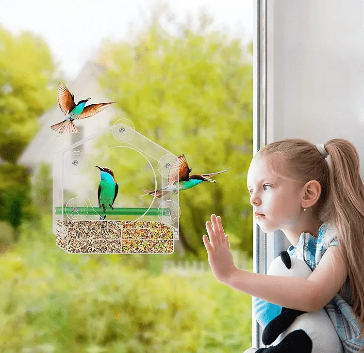 My built-in bird feeder window, window, bird feeder, This is one of the  coolest things I've ever seen 🤯🐦, By LADbible