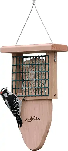 Ebern Designs Aunika Window Bird Feeder & Reviews