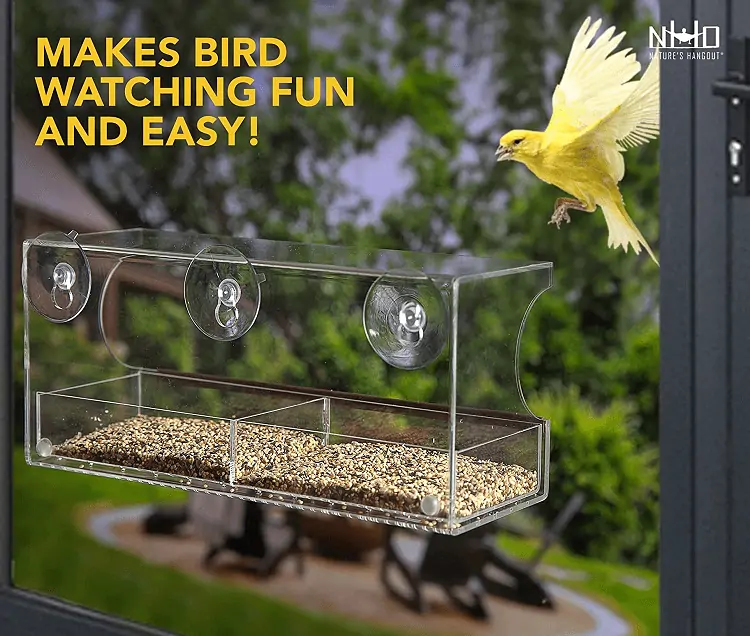 This Clear, Window-Mounted Bird Feeder Makes Staying at Home So Much More  Entertaining