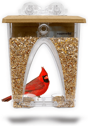 Clear Window Bird Feeder  Perfect Place for Birds Visiting