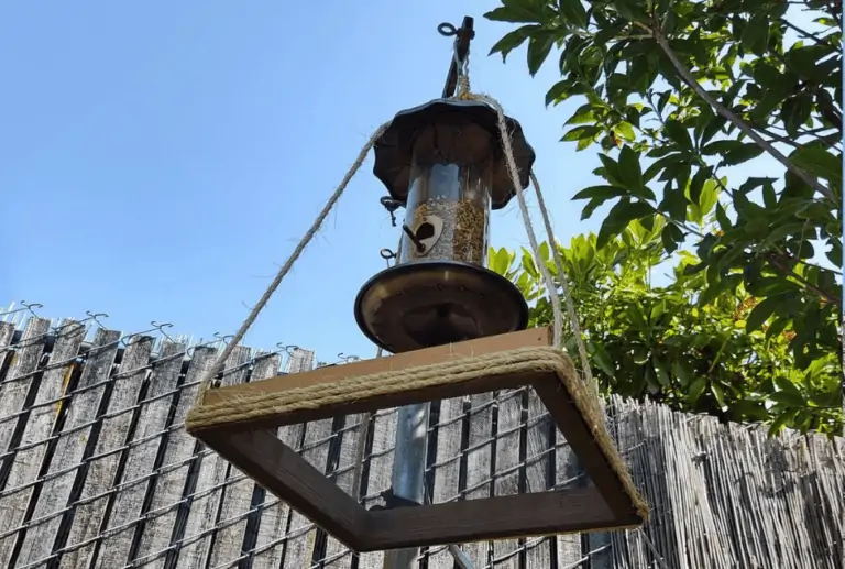 Best Bird Seed Catchers Guide Birding Insider