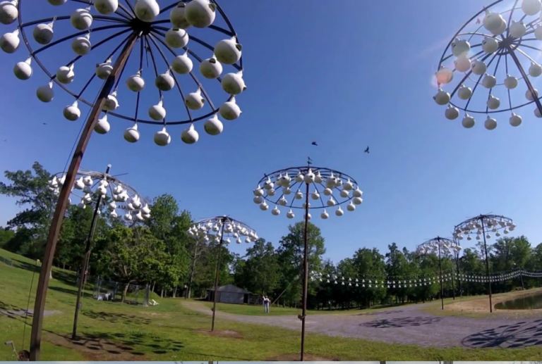 Best Martin Bird House Guide - Birding Insider